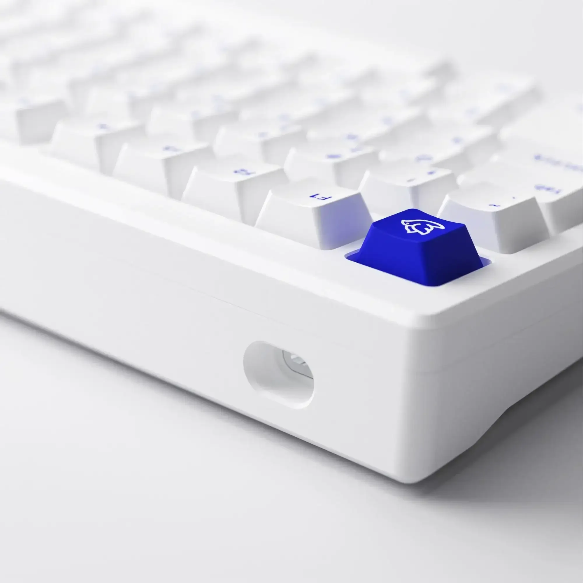 Akko - MOD 007B PC Blue on White Wireless Mechanical Keyboard - Image 5