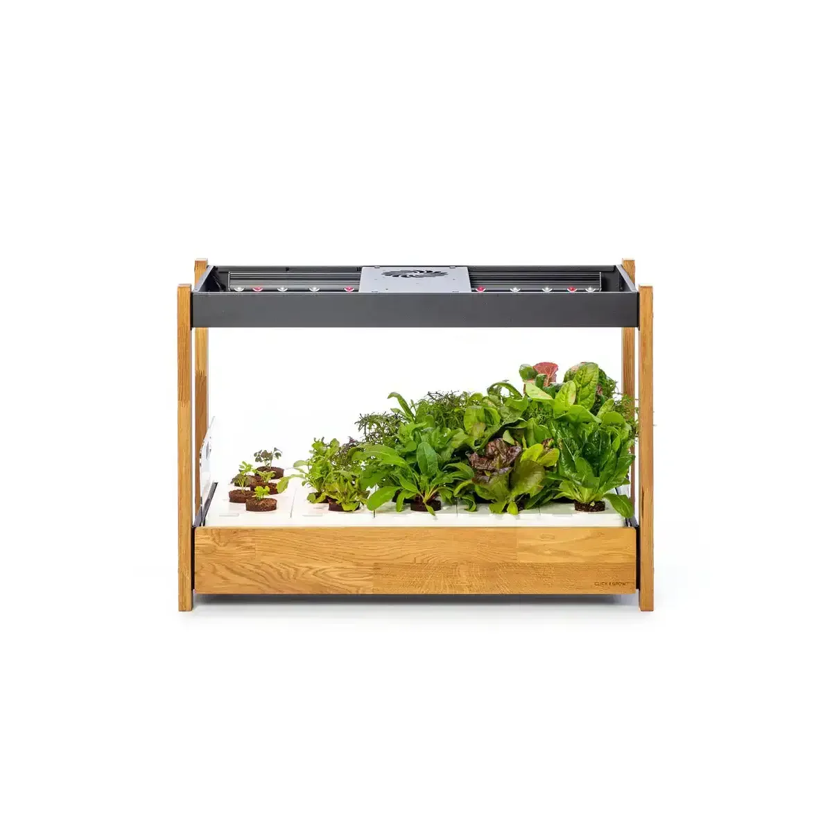 Click & Grow - 25 Indoor Starter Kit - Doniczka z Lampą Led do Uprawy Roślin - Image 3