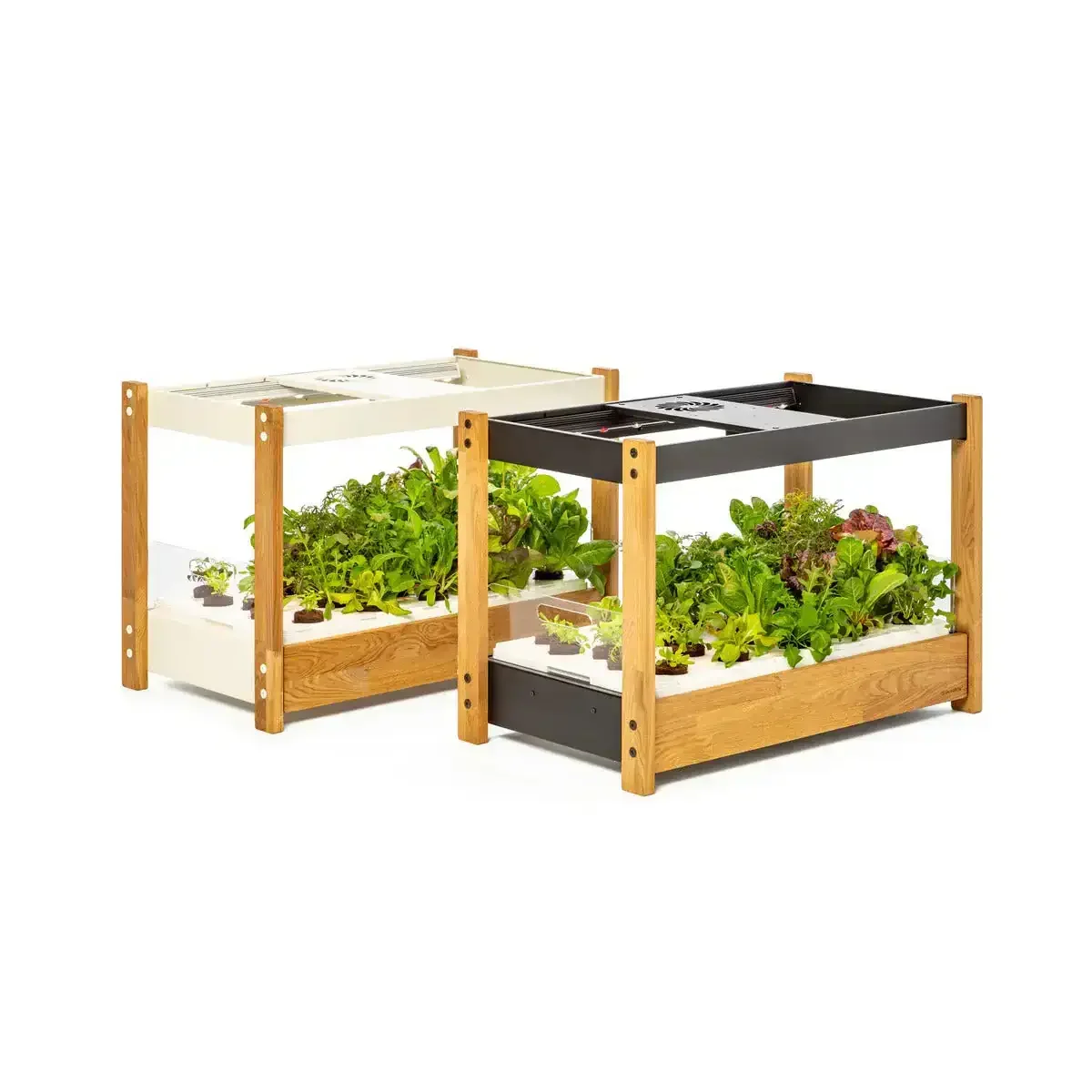 Click & Grow - 25 Indoor Starter Kit - Doniczka z Lampą Led do Uprawy Roślin - Image 4