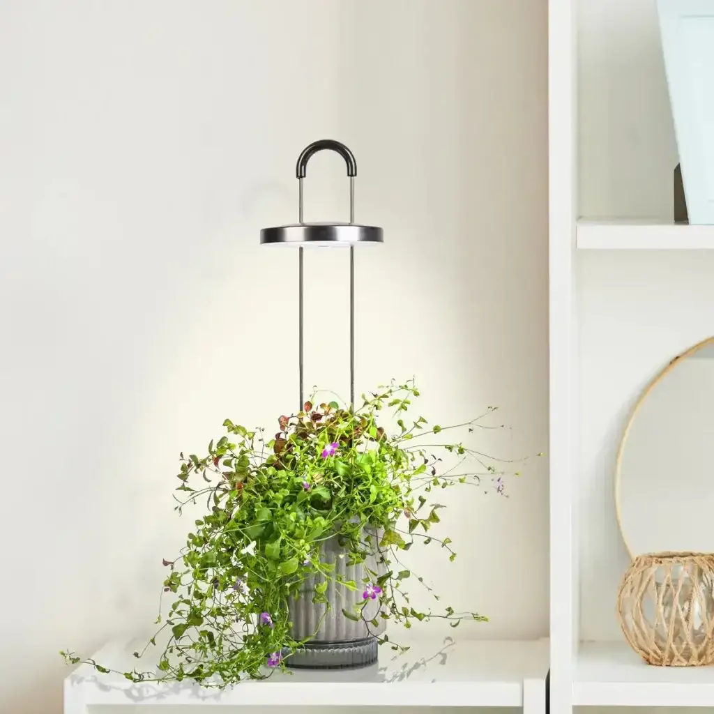 Click & Grow - HydroVase by Ermonix Indoor Plant Care Kit with LED Light - Doniczka z Lampą Led do Uprawy Roślin - Image 11