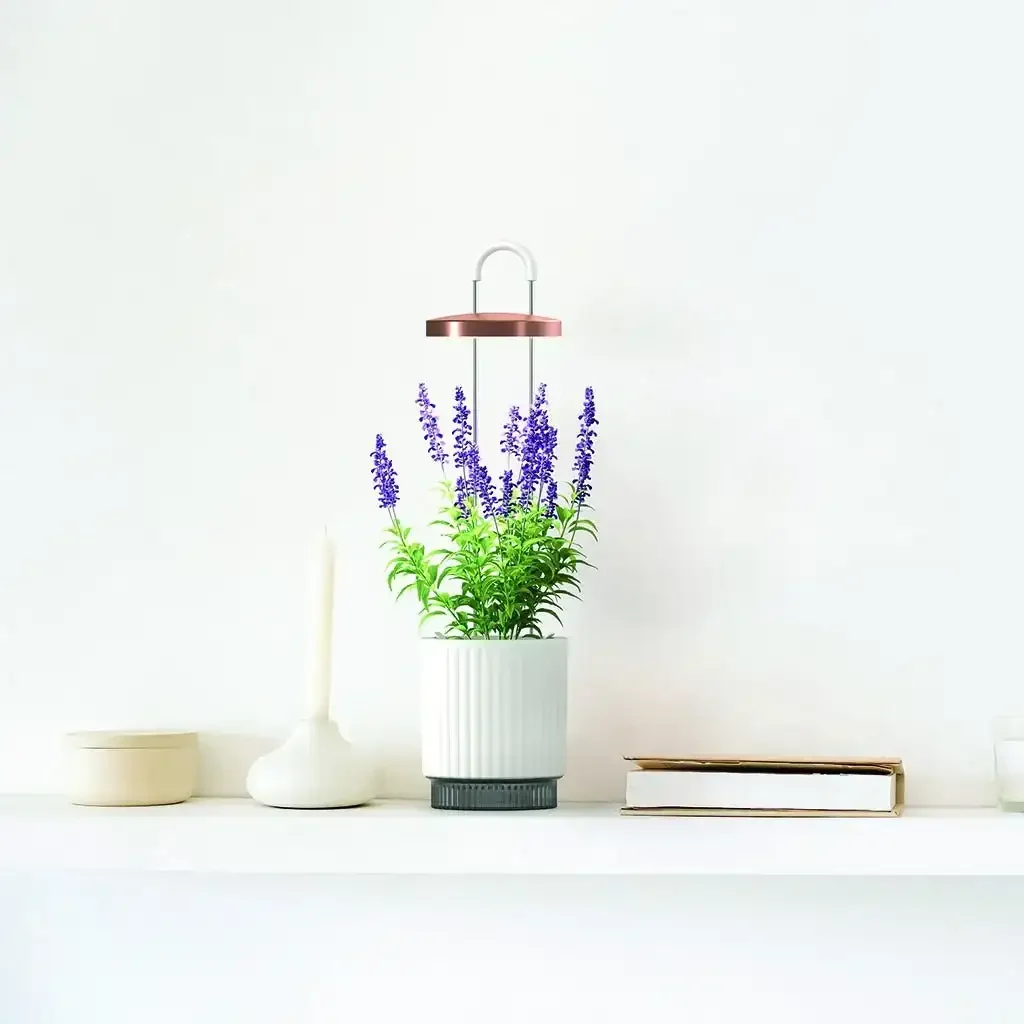 Click & Grow - HydroVase by Ermonix Indoor Plant Care Kit with LED Light - Doniczka z Lampą Led do Uprawy Roślin - Image 6