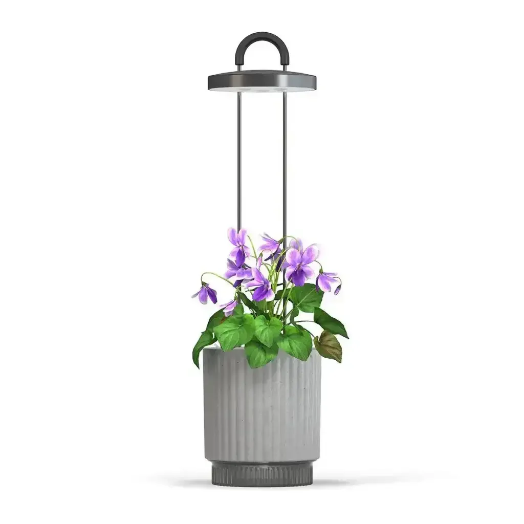 Click & Grow - HydroVase by Ermonix Indoor Plant Care Kit with LED Light - Doniczka z Lampą Led do Uprawy Roślin - Image 8