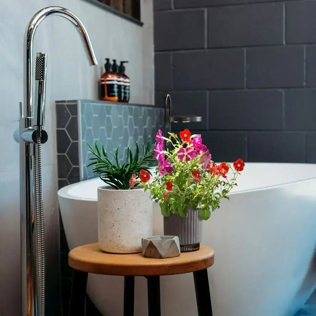 Click & Grow - HydroVase by Ermonix Indoor Plant Care Kit with LED Light - Doniczka z Lampą Led do Uprawy Roślin - Image 9