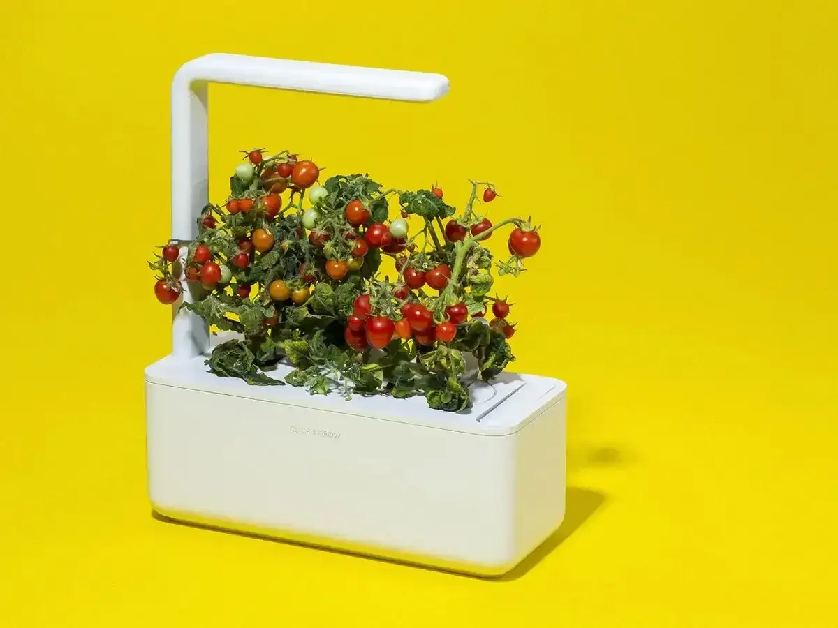 Click & Grow - Smart Garden 3 Indoor Starter Kit - Doniczka z Lampą Led do Uprawy Roślin - Image 5