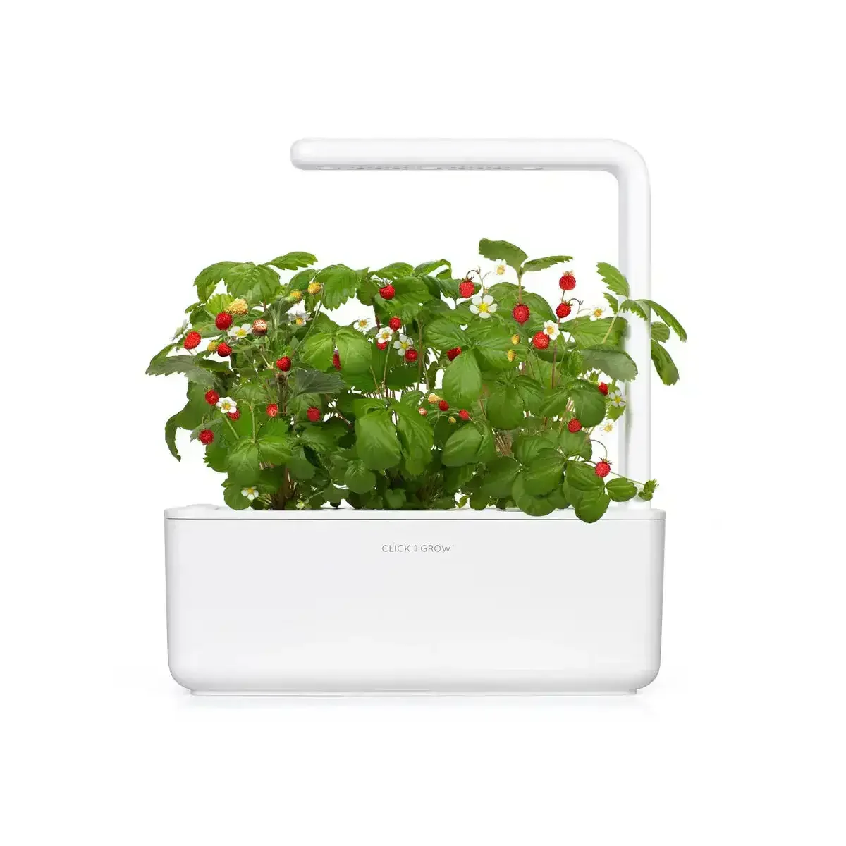 Click & Grow - Smart Garden 3 Indoor Starter Kit - Doniczka z Lampą Led do Uprawy Roślin - Image 9