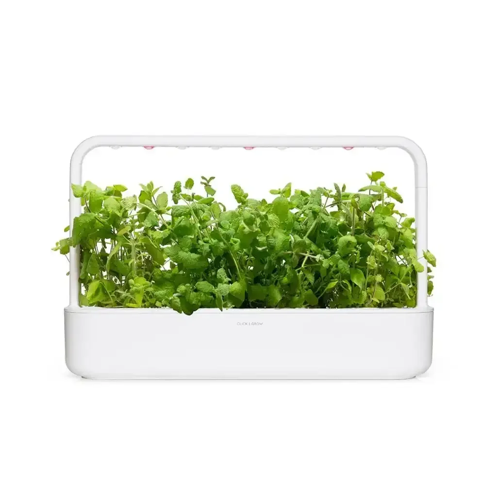 Click & Grow - Smart Garden Refill Apple Mint - Starter do Uprawy z Nasionami - Mięta Jabłkowa - Image 3