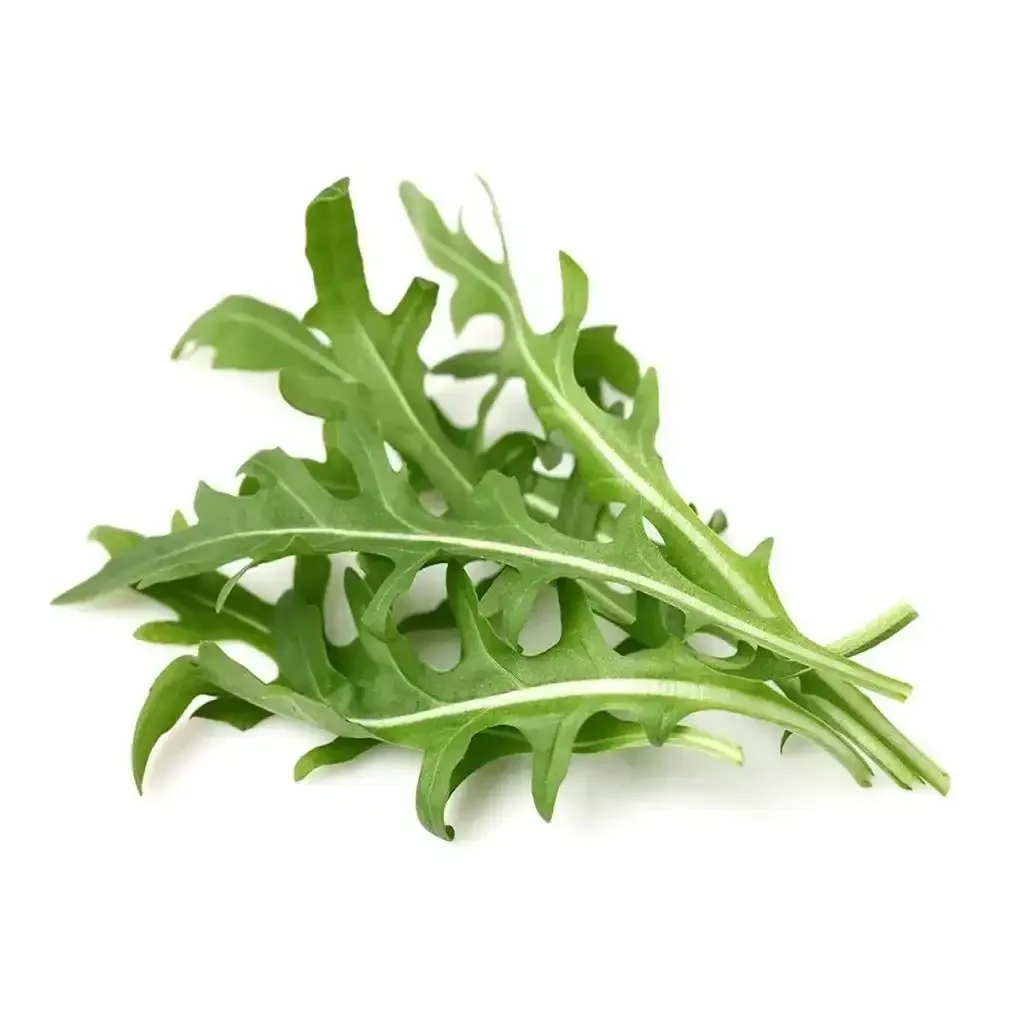 Click & Grow - Smart Garden Refill Arugula - Starter do Uprawy z Nasionami - Rukola