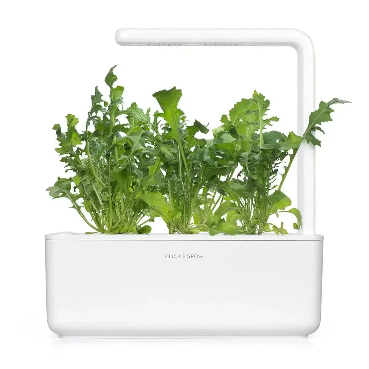 Click & Grow - Smart Garden Refill Arugula - Starter do Uprawy z Nasionami - Rukola - Image 4