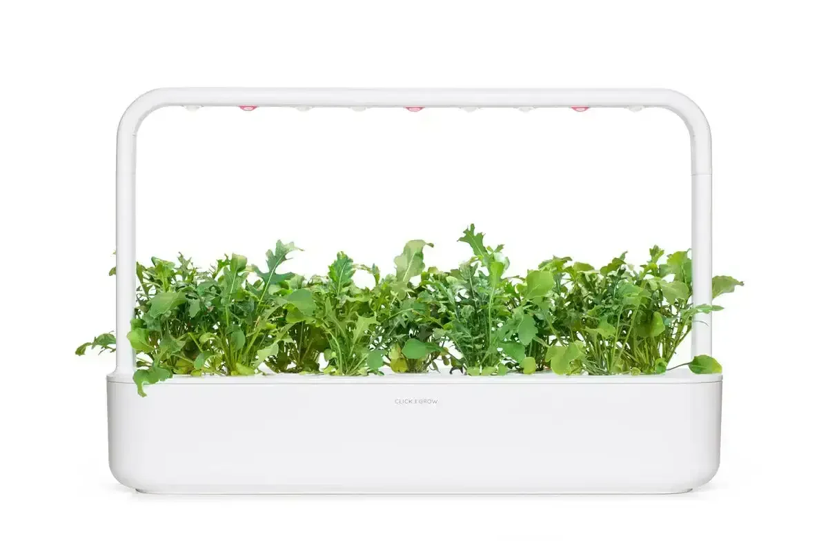 Click & Grow - Smart Garden Refill Arugula - Starter do Uprawy z Nasionami - Rukola - Image 5