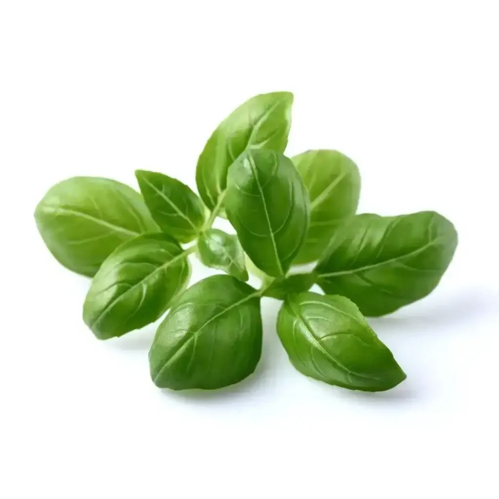 Click & Grow - Smart Garden Refill Basil - Starter do Uprawy z Nasionami - Bazylia