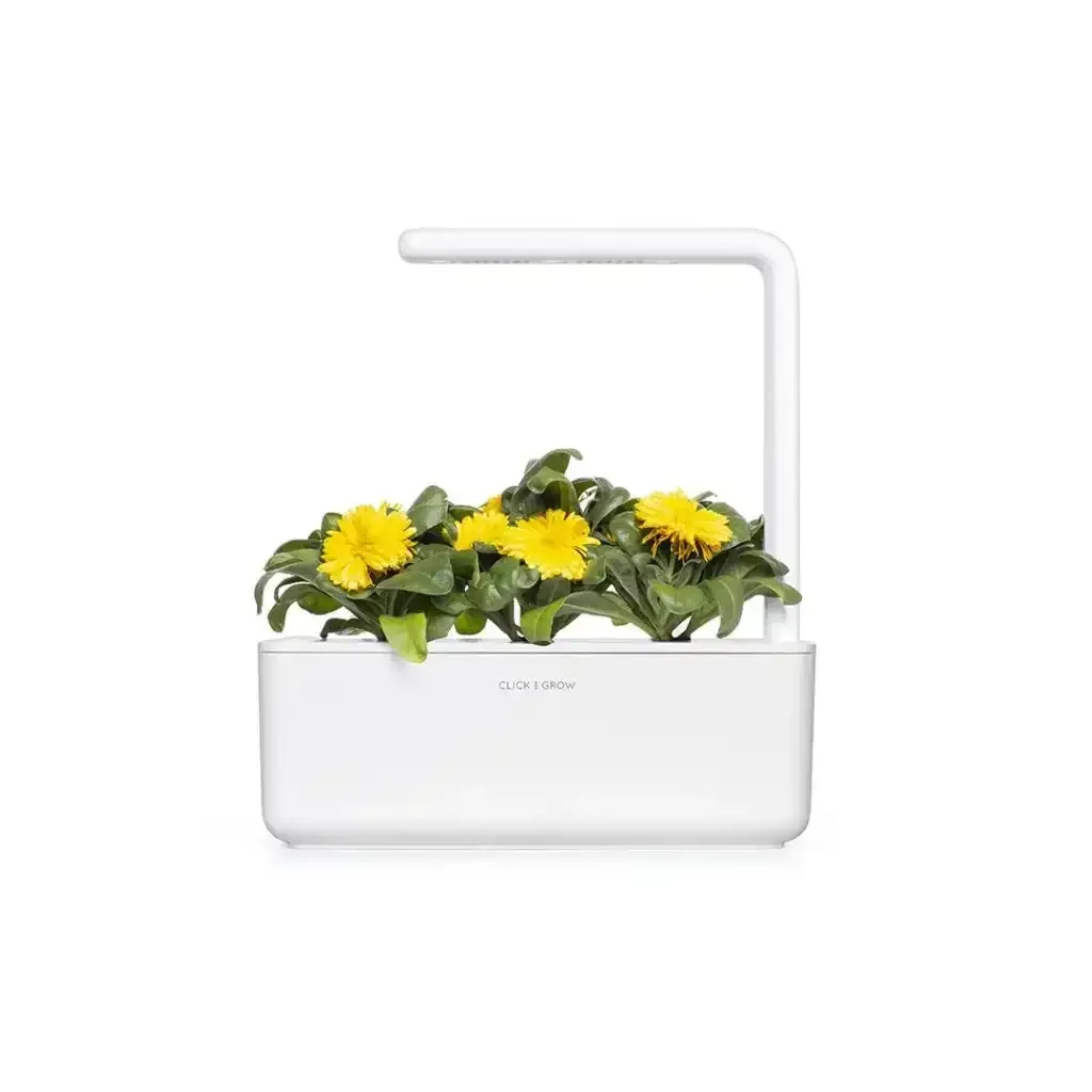 Click & Grow - Smart Garden Refill Calendula - Starter do Uprawy z Nasionami - Nagietek Lekarski - Image 4