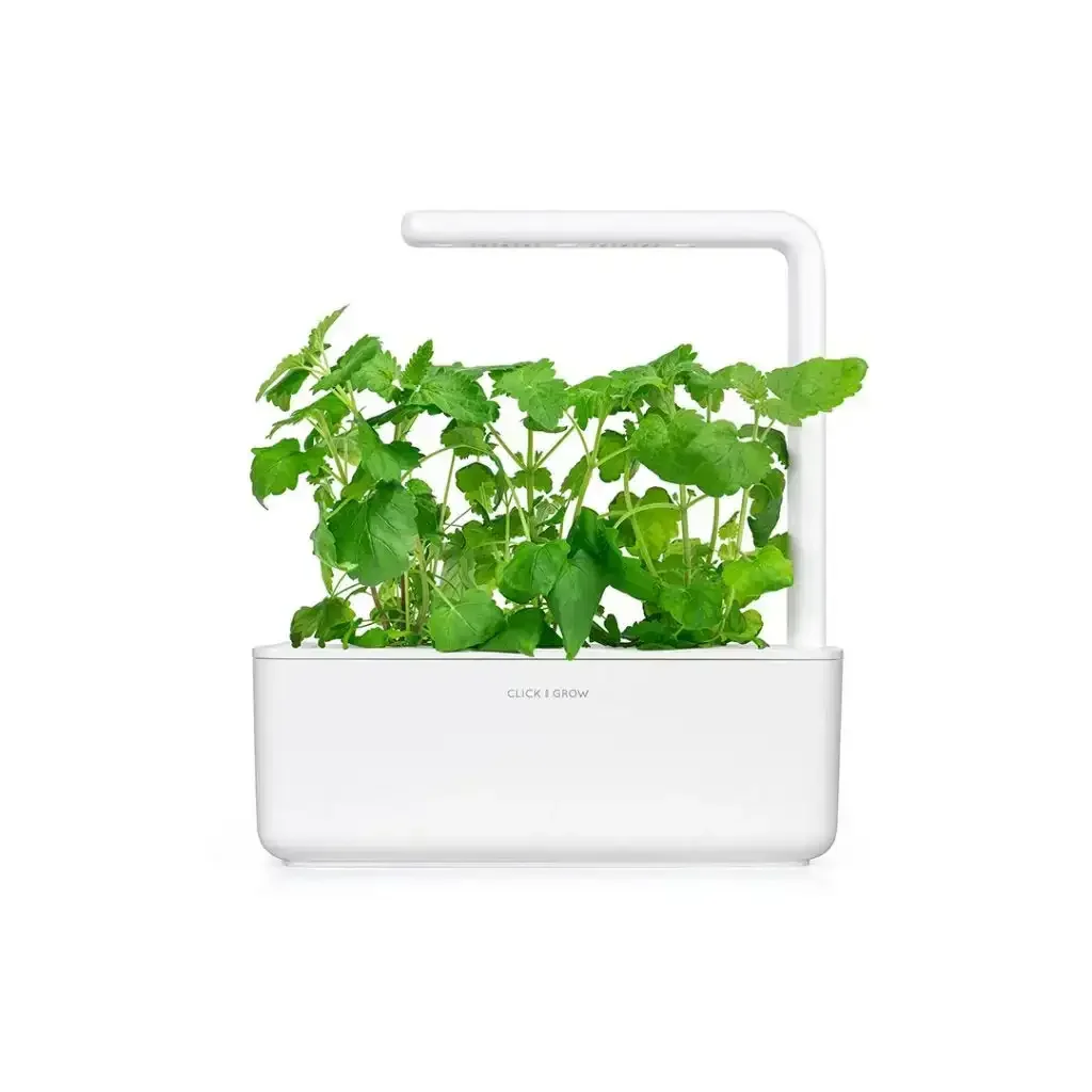 Click & Grow - Smart Garden Refill Catnip - Starter do Uprawy z Nasionami - Kocimiętka - Image 4
