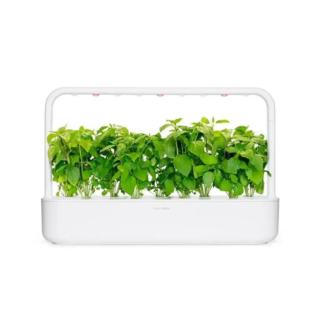 Click & Grow - Smart Garden Refill Cinnamon Basil - Starter do Uprawy z Nasionami - Bazylia Cynamonowa - Image 4
