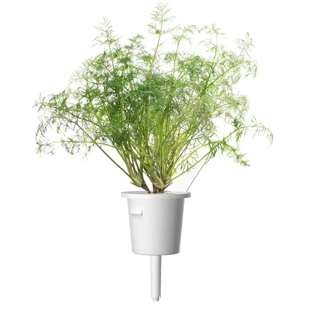 Click & Grow - Smart Garden Refill Dill - Starter do Uprawy z Nasionami - Koperek - Image 2