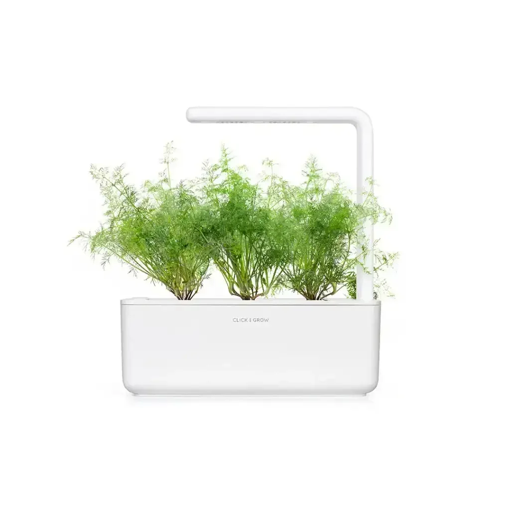 Click & Grow - Smart Garden Refill Dill - Starter do Uprawy z Nasionami - Koperek - Image 4