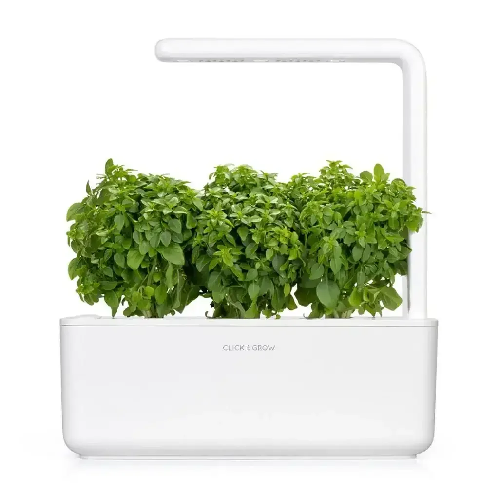 Click & Grow - Smart Garden Refill Dwarf Basil - Starter do Uprawy z Nasionami - Bazylia Karłowata - Image 4