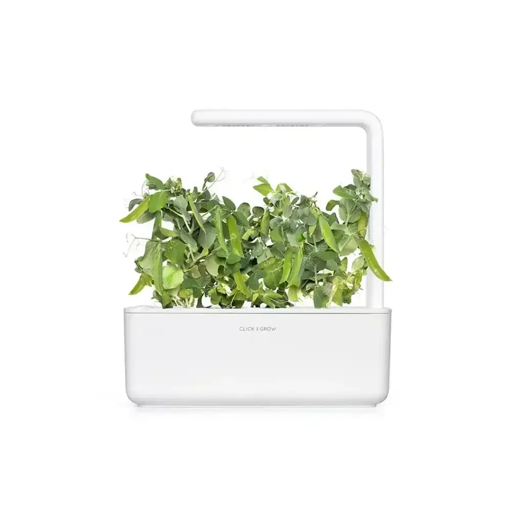 Click & Grow - Smart Garden Refill Dwarf Peas - Starter do Uprawy z Nasionami - Groch Karłowaty - Image 4