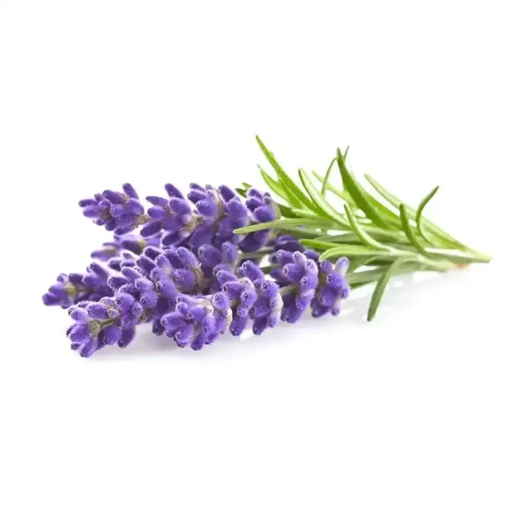 Click & Grow - Smart Garden Refill Lavender - Starter do Uprawy z Nasionami - Lawenda