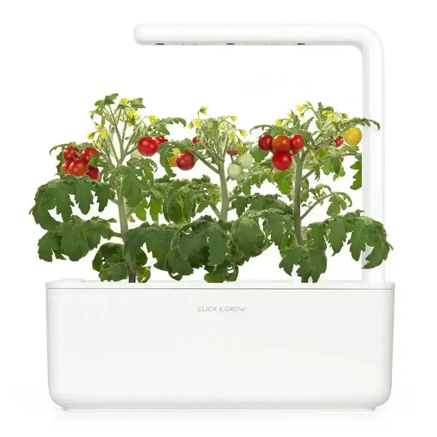 Click & Grow - Smart Garden Refill Mini Tomato - Starter do Uprawy z Nasionami - Pomidorki Koktajlowe - Image 3