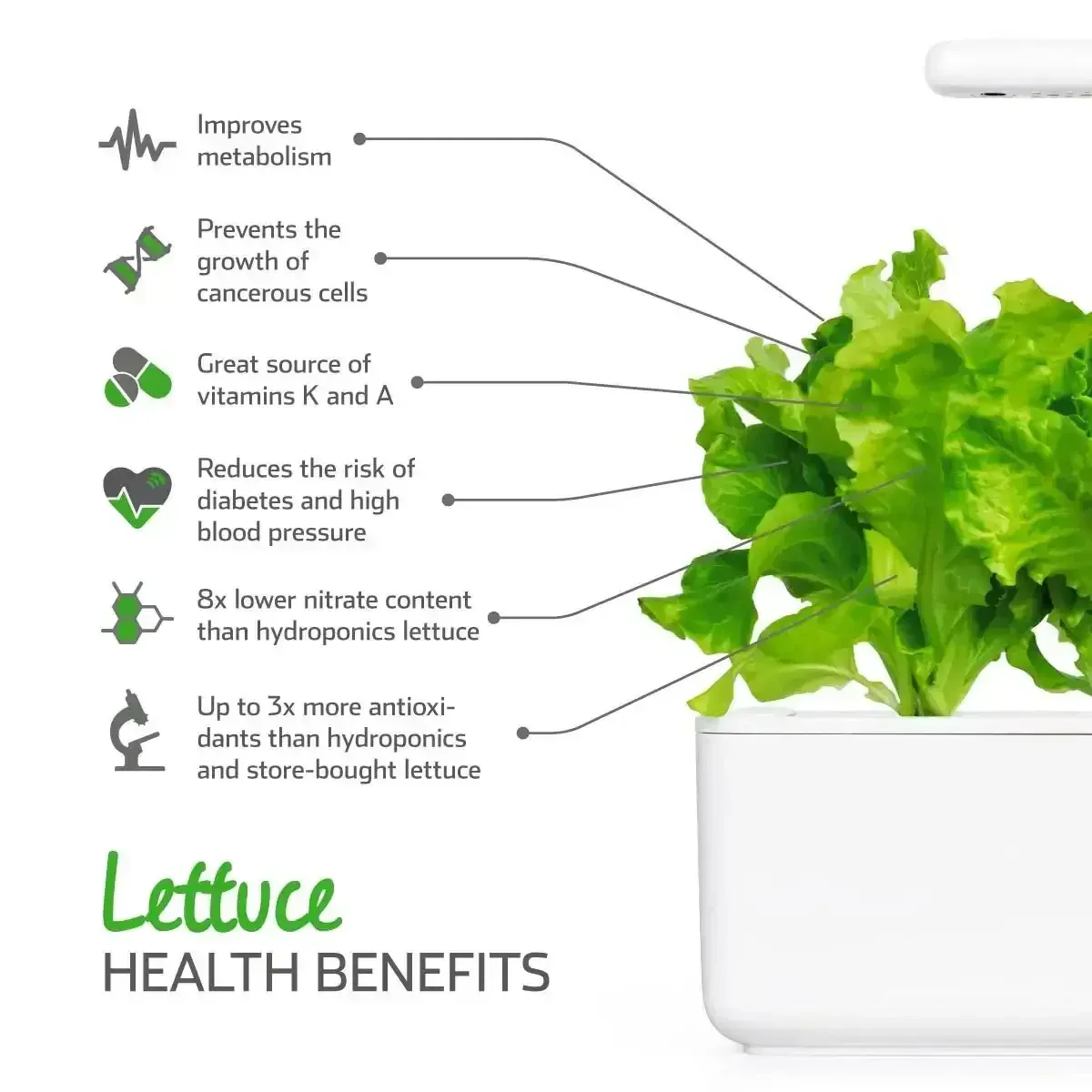 Click & Grow - Smart Garden Refill Green Lettuce - Starter do Uprawy z Nasionami - Sałata Siewna - Image 4