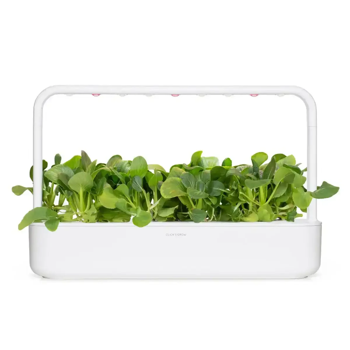 Click & Grow - Smart Garden Refill Pak Choi - Starter do Uprawy z Nasionami - Kapusta Pak Choi - Image 4