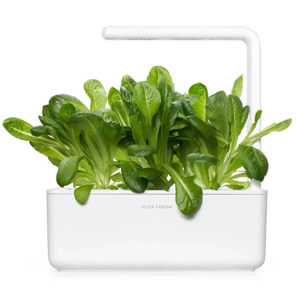 Click & Grow - Smart Garden Refill Romaine Lettuce - Starter do Uprawy z Nasionami - Sałata Rzymska - Image 4