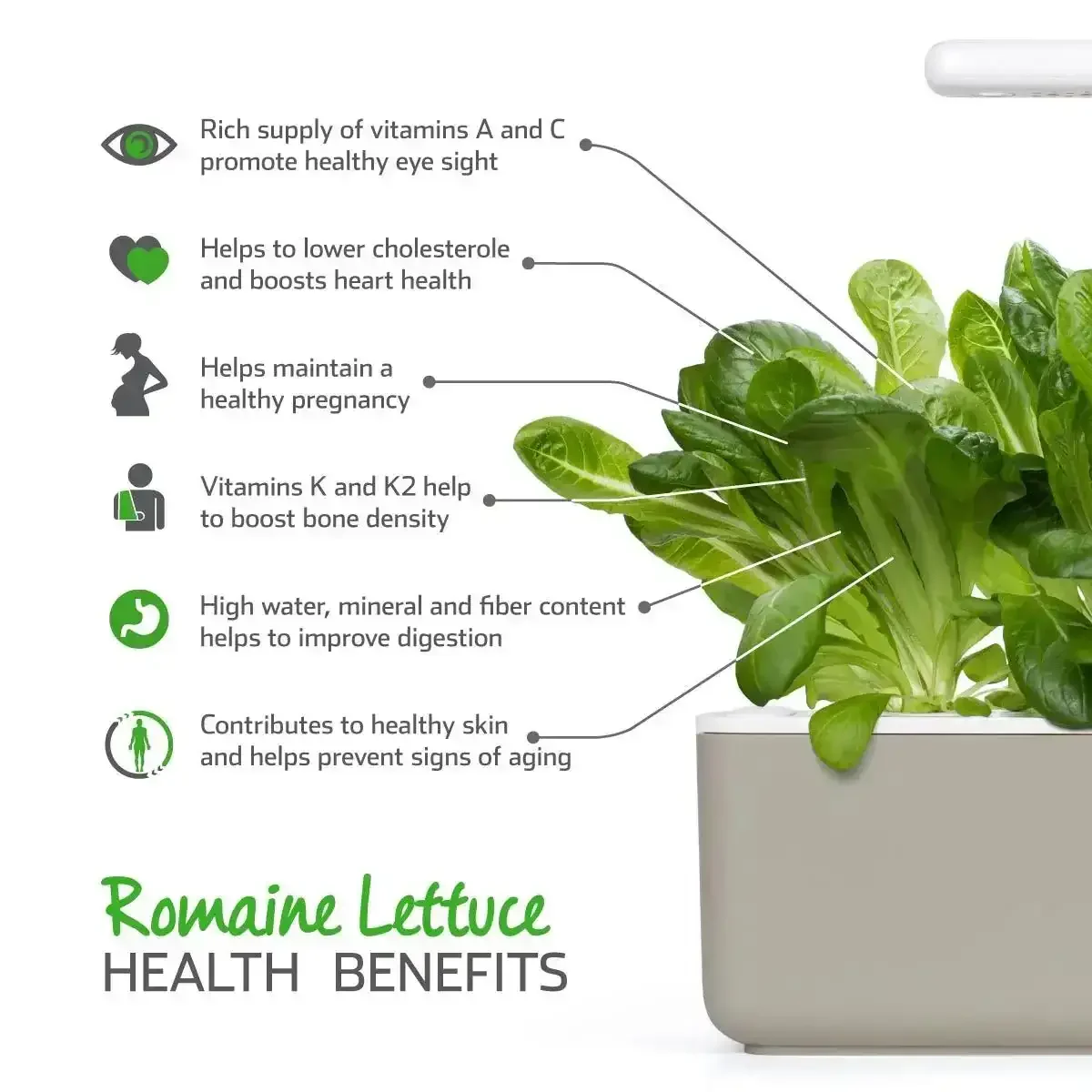 Click & Grow - Smart Garden Refill Romaine Lettuce - Starter do Uprawy z Nasionami - Sałata Rzymska - Image 5