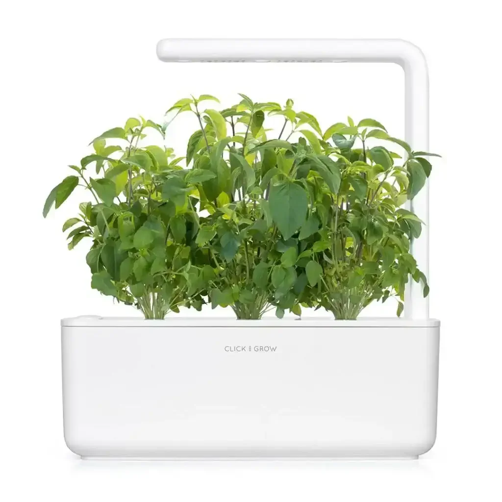 Click & Grow - Smart Garden Refill Thai Basil - Starter do Uprawy z Nasionami - Bazylia Tajska - Image 4