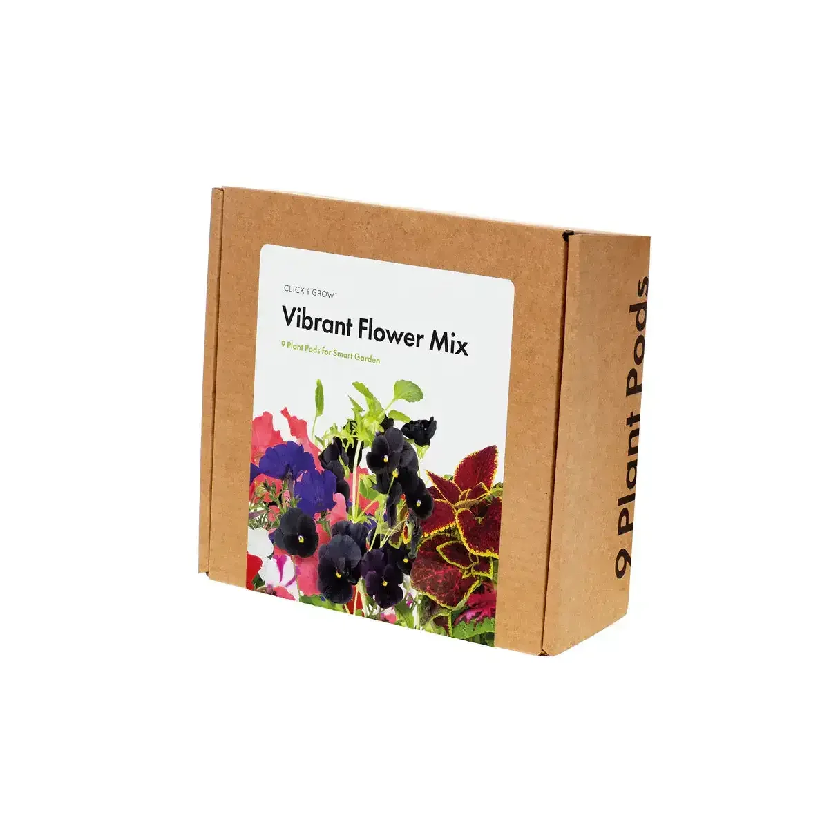 Click & Grow - Smart Garden Refill Vibrant Flower Mix - Starter do Uprawy z Nasionami - Mix Kwiatów Kolorowych - Image 3