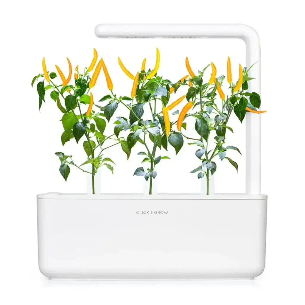 Click & Grow - Smart Garden Refill Yellow Chili Pepper - Starter do Uprawy z Nasionami - Żółte Papryczki Chili - Image 4